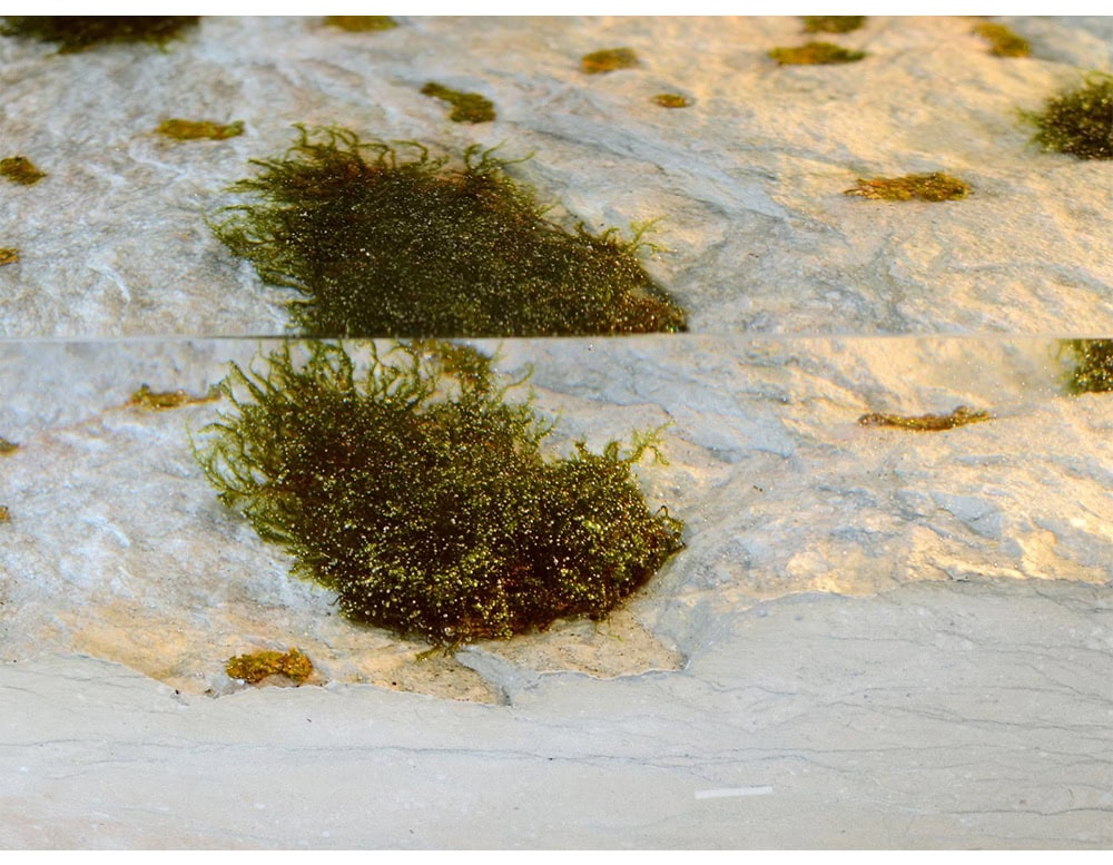 This stool blends natural stone textures with preserved moss, creating a raw yet organic design. Its sculptural form highlights the contrast between rugged surfaces and clean lines, making it both functional and decorative.