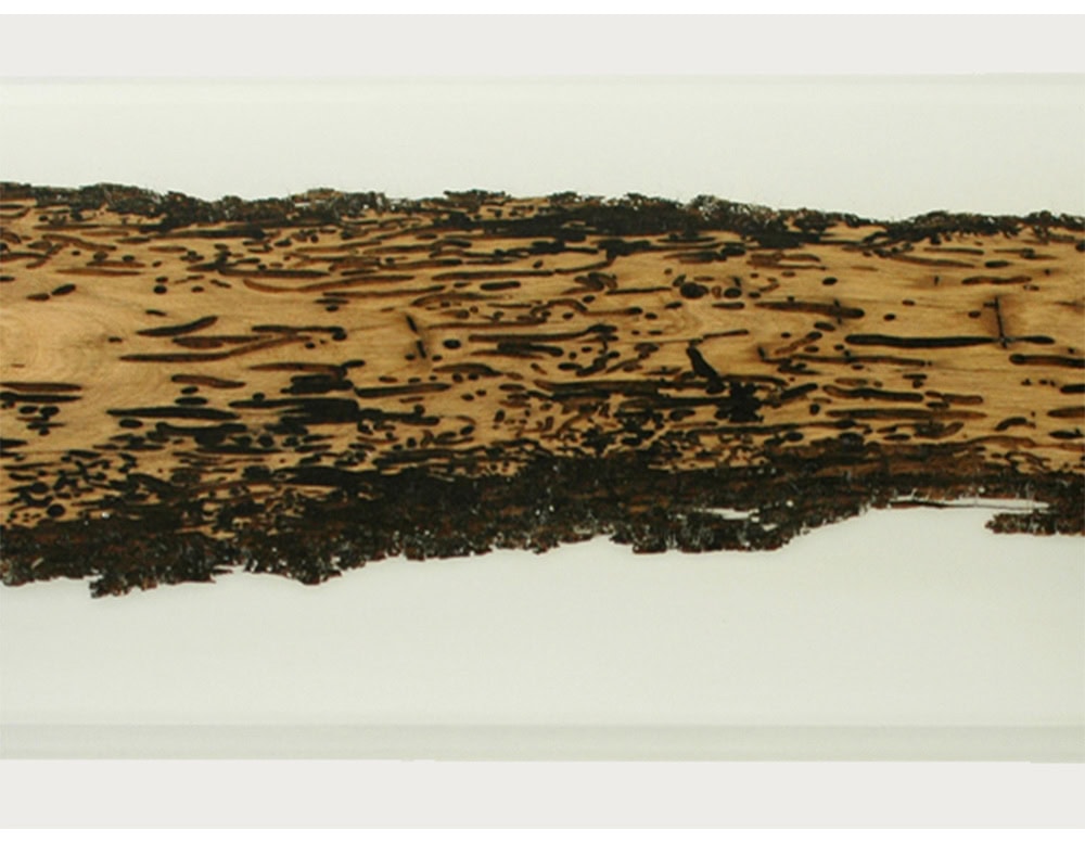 The Foggy Coffee Table combines raw wood with a milky resin surface, creating a striking contrast that highlights the natural textures of the timber. Its translucent design evokes the effect of wood emerging through morning fog.