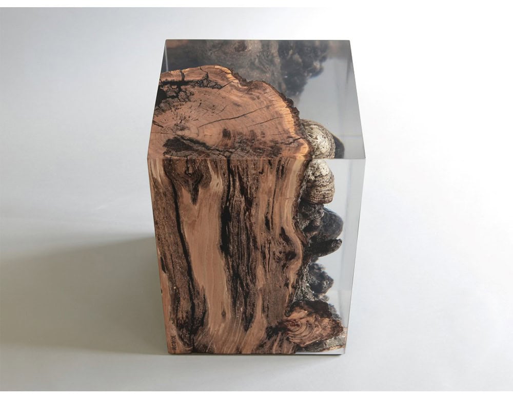 This stool highlights natural fungi embedded in resin, turning organic growth into a striking design element that doubles as functional seating.