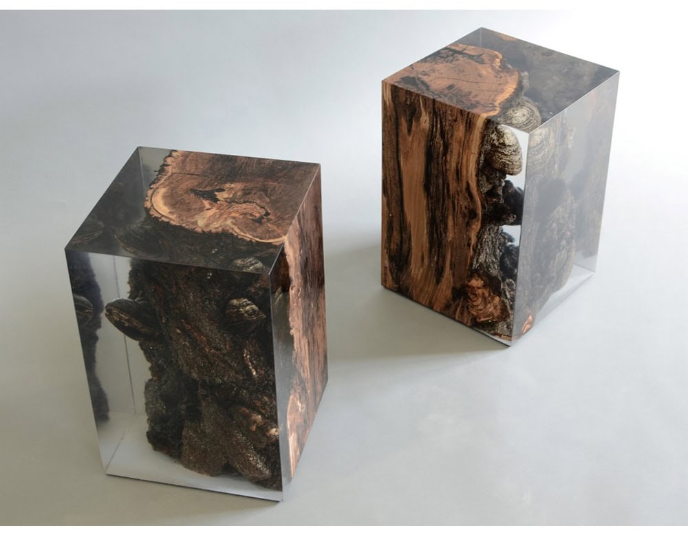 This stool design captures the organic textures of fungi and bark, preserved in clear resin for a striking natural-meets-modern look.