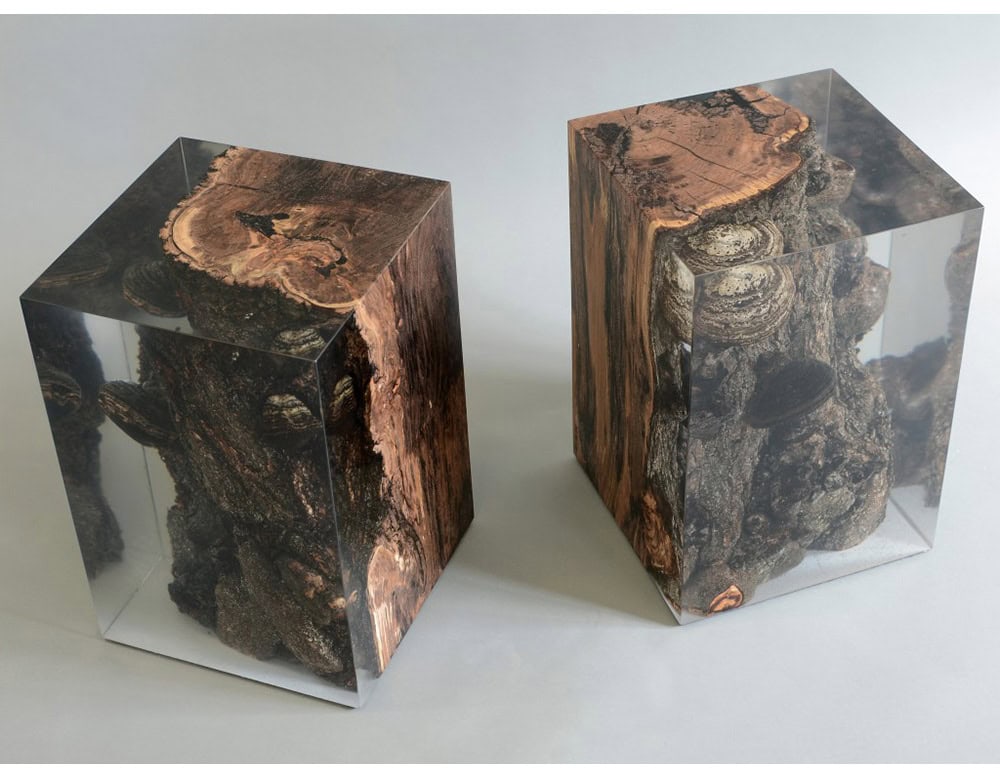 The Fungi Stools feature raw tree burls encased in clear resin, highlighting natural textures and organic growth patterns. Their cubic form combines sculptural presence with functional use as seating or side tables.