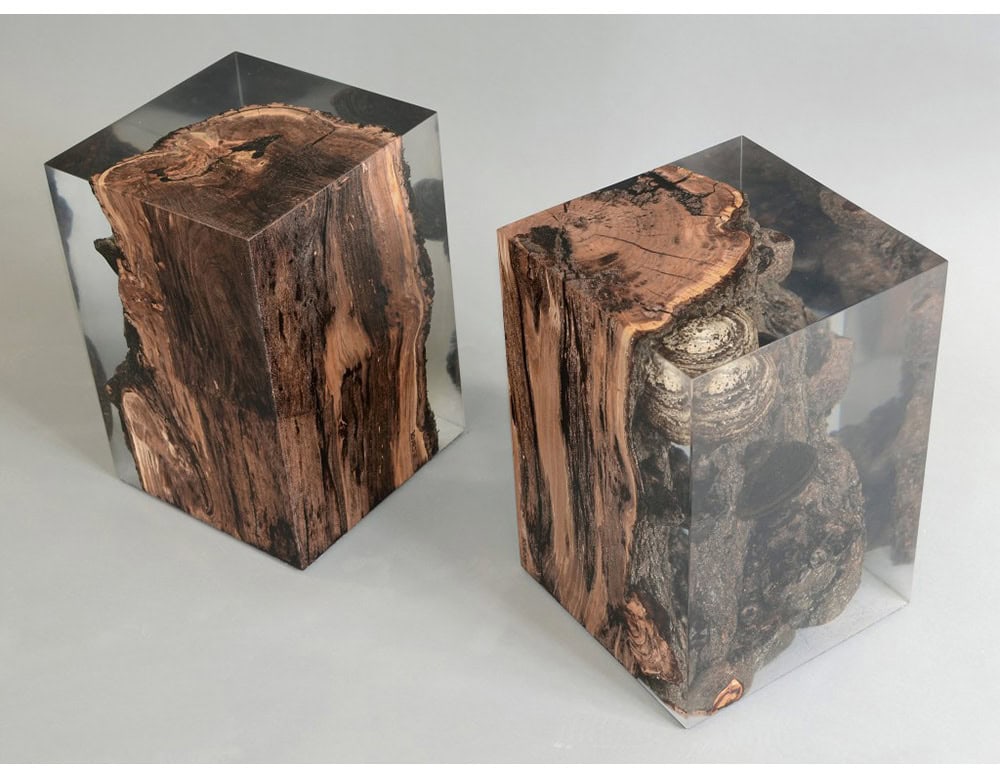 These stools highlight natural fungi growth encased in clear resin, creating sculptural forms where organic textures meet sleek geometry. Each piece is unique, offering both functional seating and artistic presence.