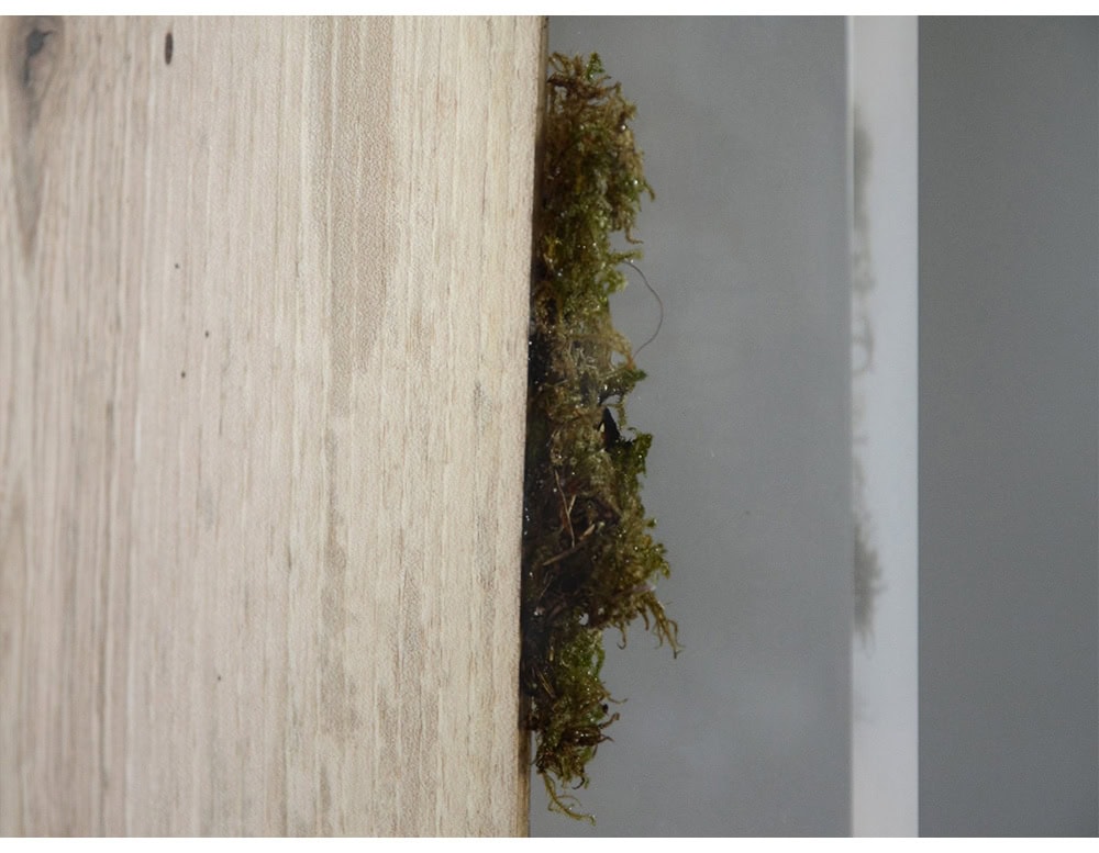 Natural wood meets organic greenery in the Moss Screen, where clear resin panels frame strips of timber accented with live moss textures. A sculptural piece that introduces depth and nature into any interior setting.