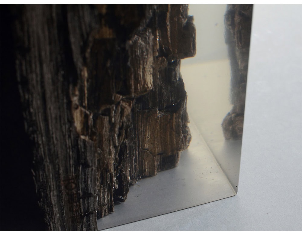 Close-up of a Peatland stool showing preserved dark wood encased in clear resin, highlighting organic bark texture against the smooth, glossy surface.