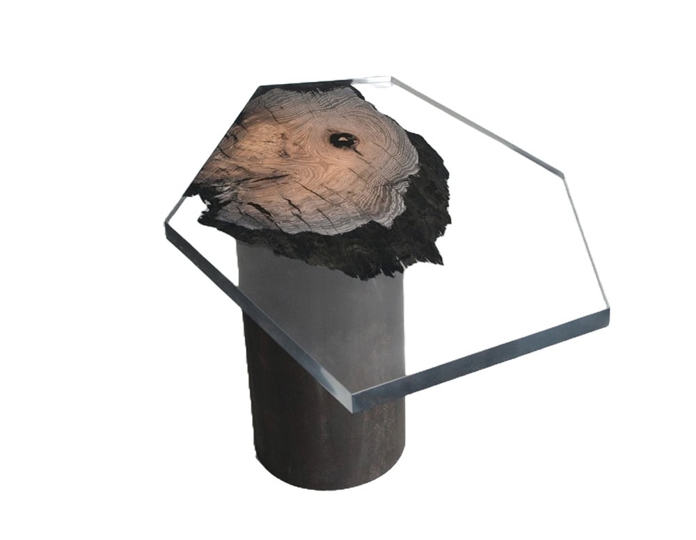 Wetland Side Table highlights a preserved wood cross-section encased in clear resin. The hexagonal top rests on a cylindrical base, merging organic texture with a sculptural modern form.