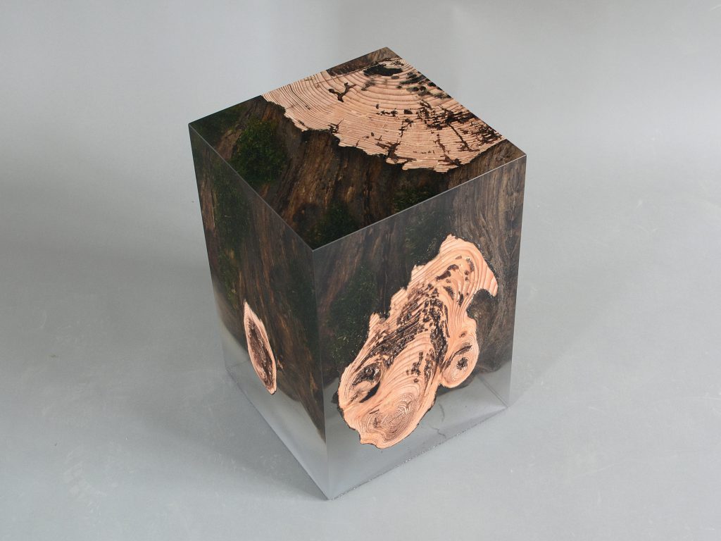 Stump Stool/Side Table