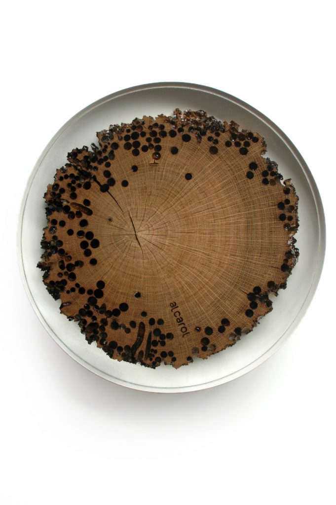 Top view of Mareale Stool with a round top and tapered legs, made of natural finish solid wood with a transparent resin inlay , set against a white background.