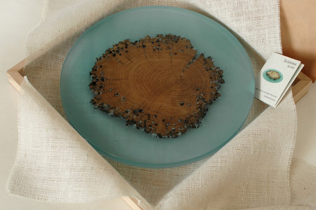 Susanna Island Lazy Susan