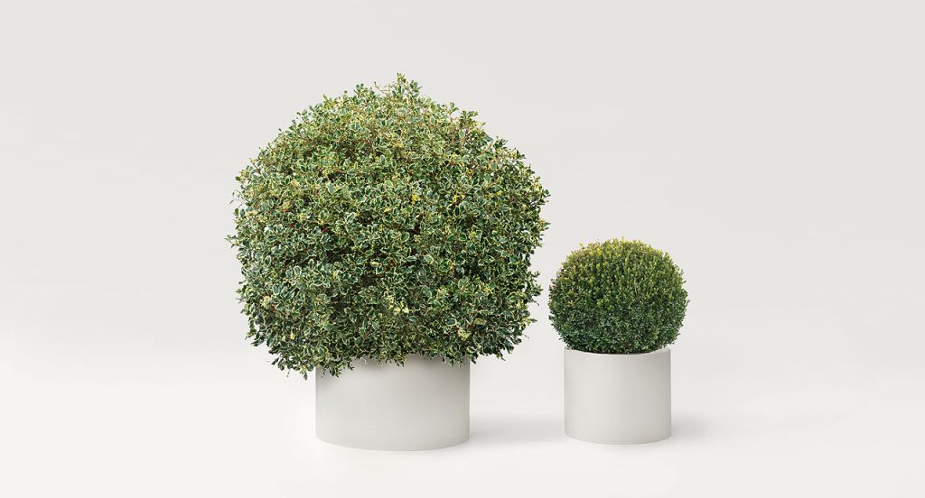 Two Round planter covers Shield. Structure in white steel on a white background.