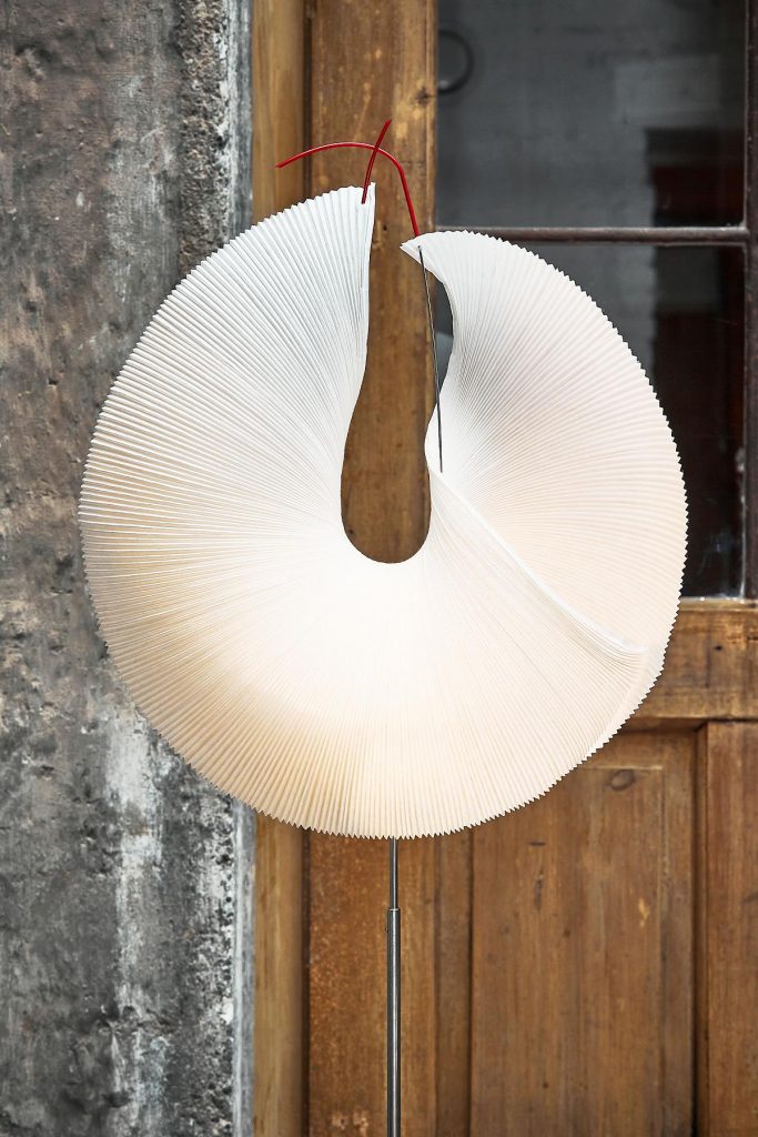 A large white Yoruba Rose hanging in front of a wooden door