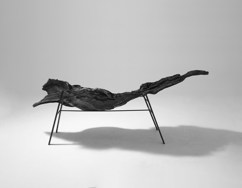 Verter Turroni Bioma backside in front of a white background