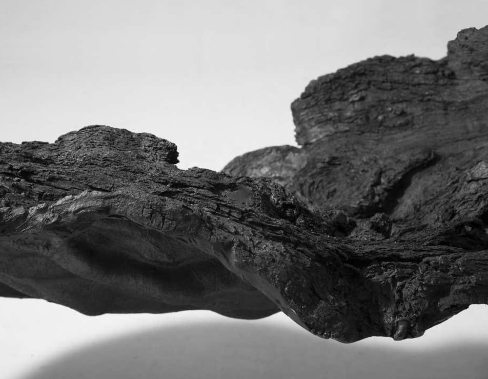 Close up of Verter Turroni Bioma seating area viewing the crevasses and little details