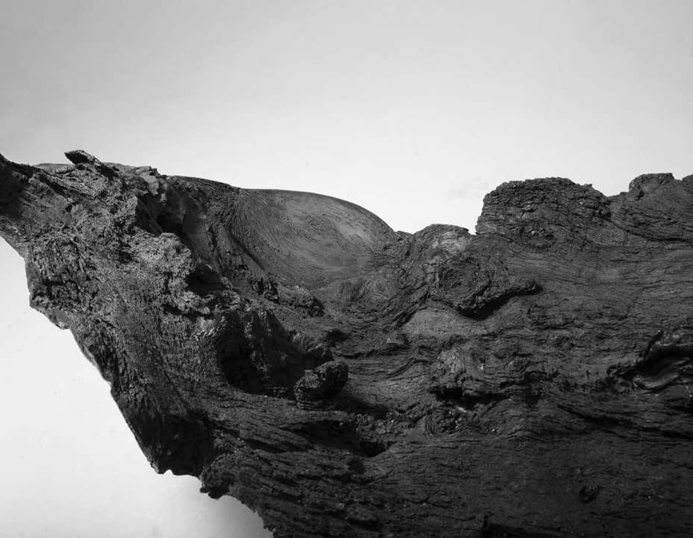 Close up Verter Turroni Bioma edge viewing the little crevasses and details