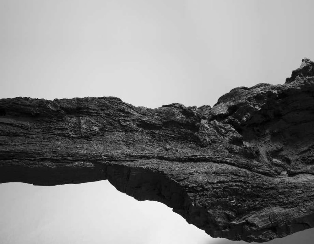 Close up of Verter Turroni Bioma viewing the black colored details and crevasses