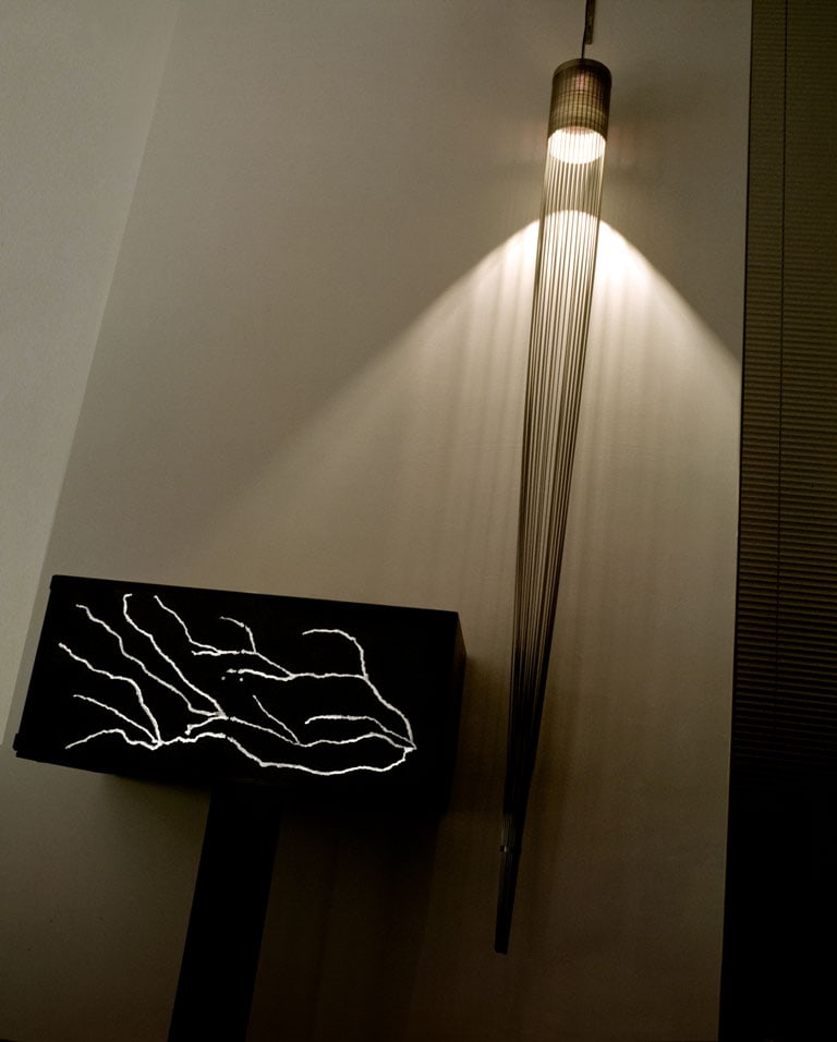 Gianluca Pacchioni Jellyfish hanging on a cream wall while illuminating the wall