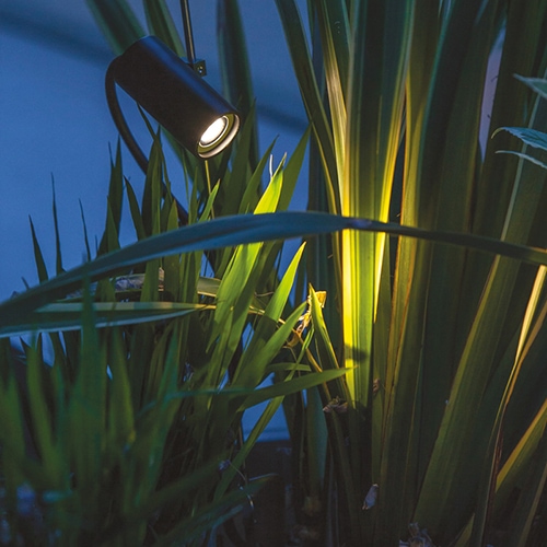 Grillo outdoor lamp illuminating some plants