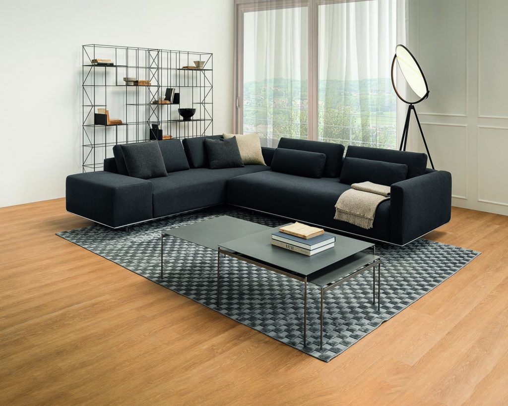 Torii in front of a dark grey L couch in a white room