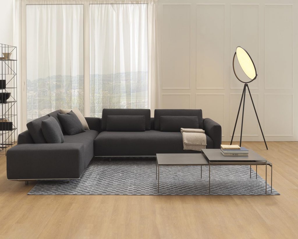 Torii in front of a dark grey L couch