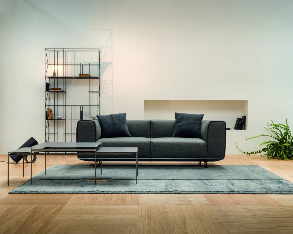 Torii in front of a dark grey couch