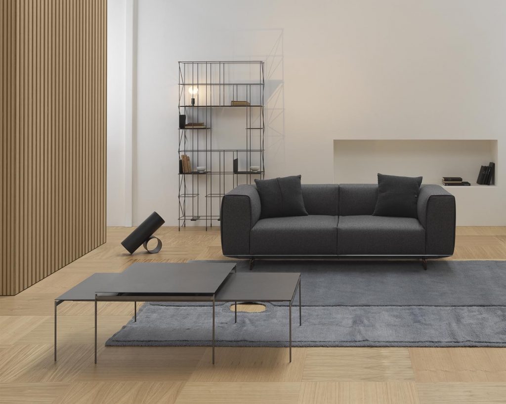 Torii in front of a dark grey couch