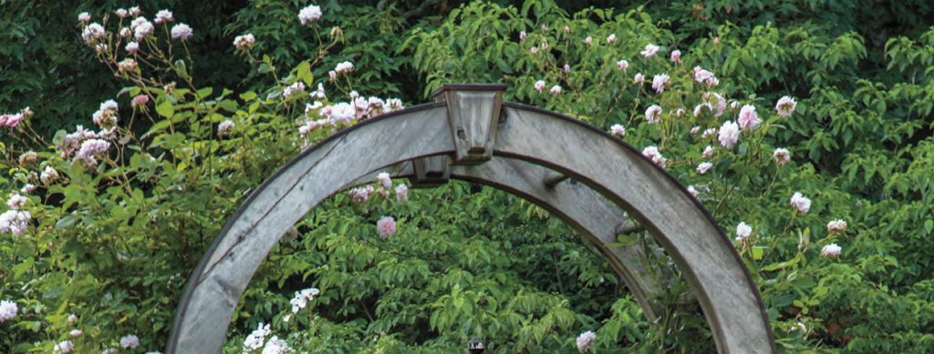 Press_CTC&G-May2021_hero