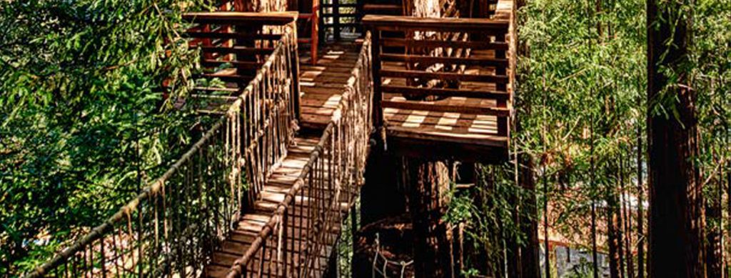 Press_Dwell-MayJune2021_hero