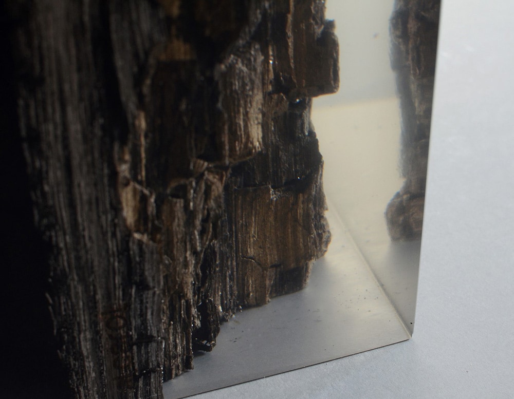 sculpture made with black oak trunks and transparent resin on a white background.