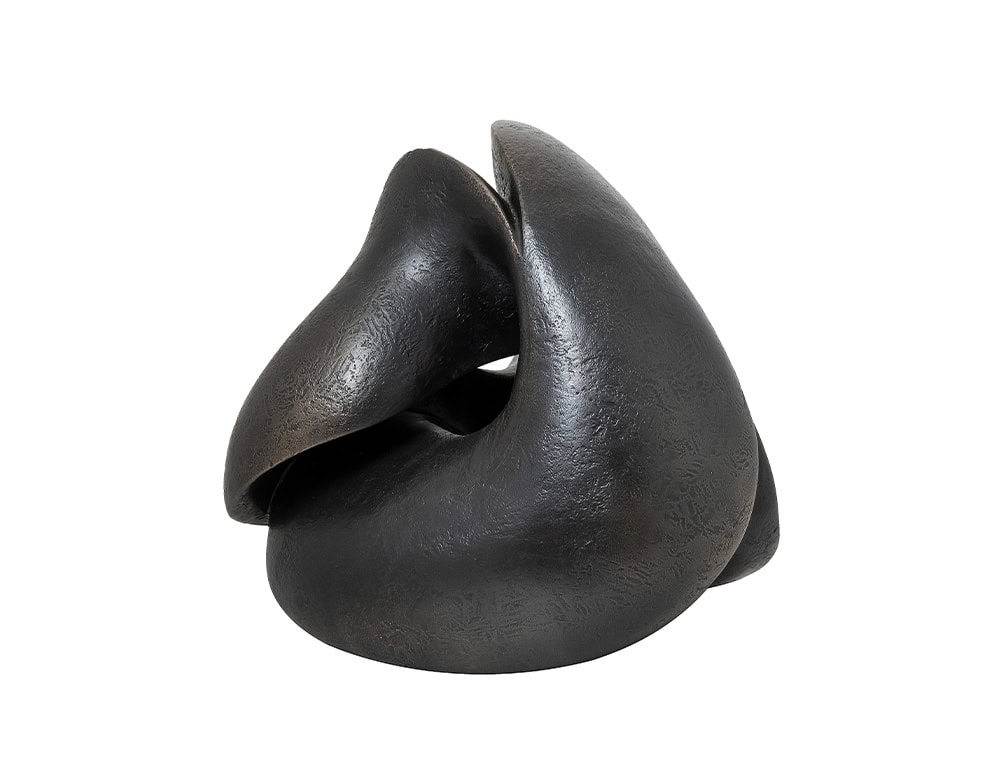 Sculptural accessory with organic, fluid curves in a metallic dark finish. Its twisting shape creates a striking visual effect, making it a bold decorative statement for modern interiors.