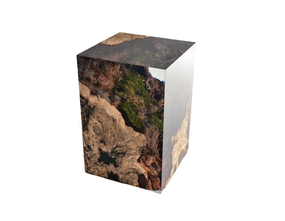 Chestnut Stump captures a natural wood form with swirling grain and moss details, encased in clear resin. The cube shape transforms organic textures into a striking sculptural accent.