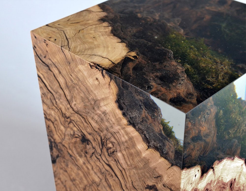 Chestnut Stump