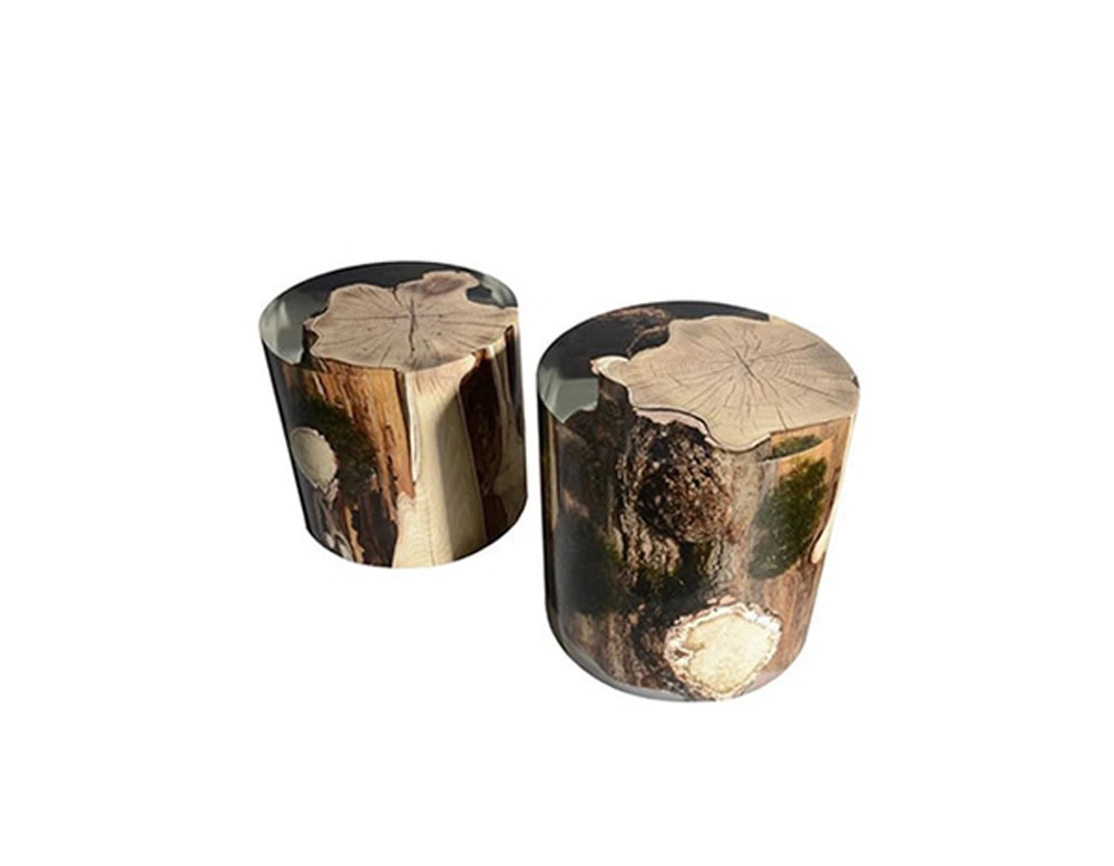 Surfacing Stump reveals natural tree sections encased in clear resin, preserving rings, bark, and moss. The cylindrical form turns raw organic detail into a polished functional piece.