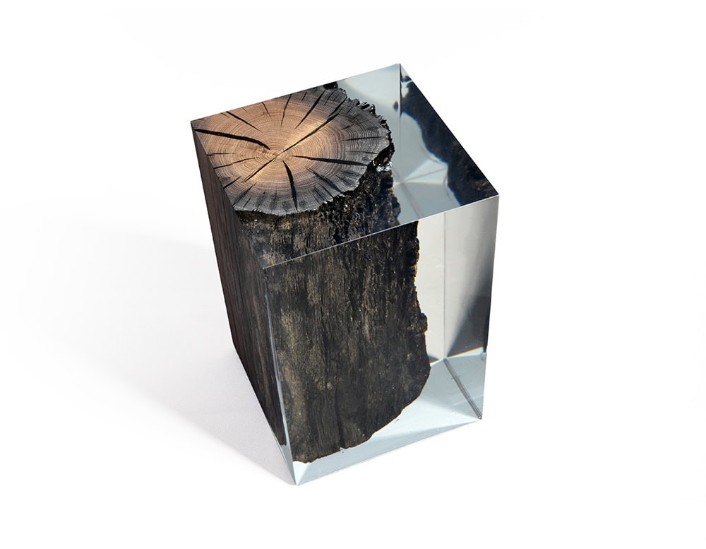 Natural wood preserved in resin forms this sculptural stool. The piece captures the organic detail of a tree trunk within clear acrylic, combining nature and modern design in a functional accent.