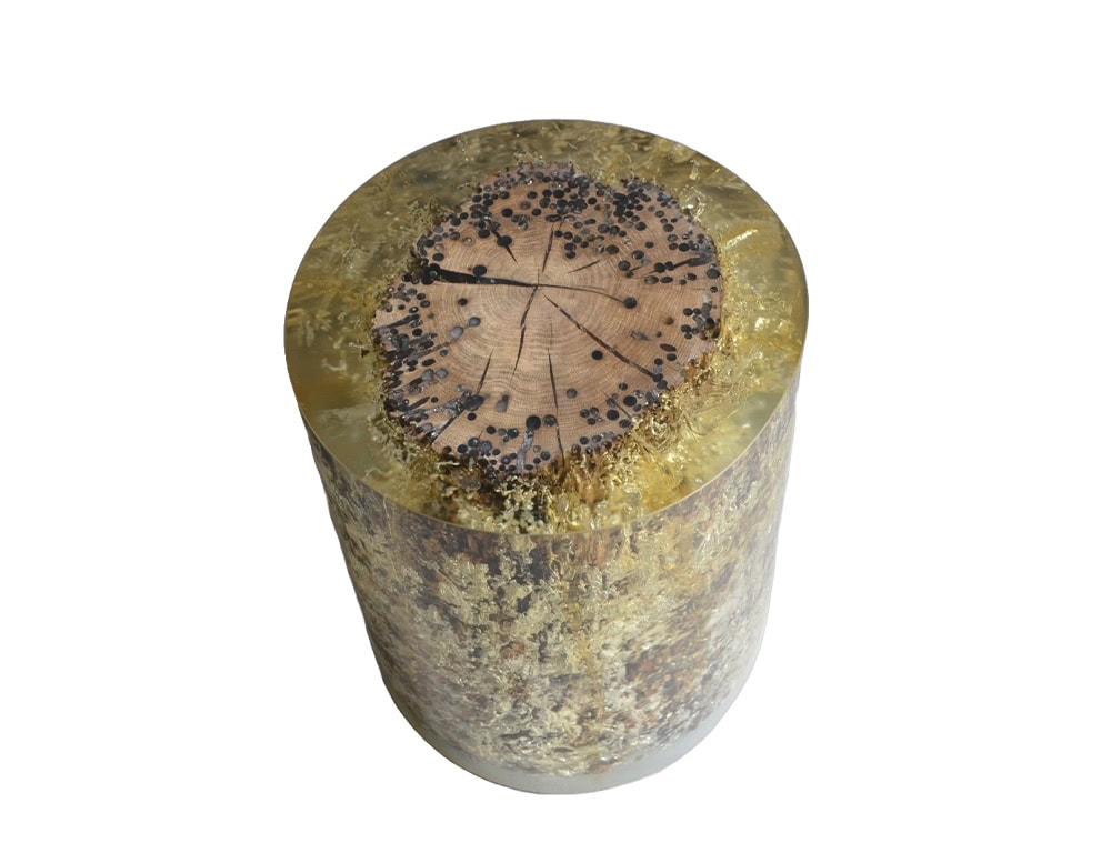 Encapsulated in crystal-clear resin, this stool reveals a tree trunk section dotted with dark inclusions and organic textures. A sculptural, earthy piece with rich natural character.