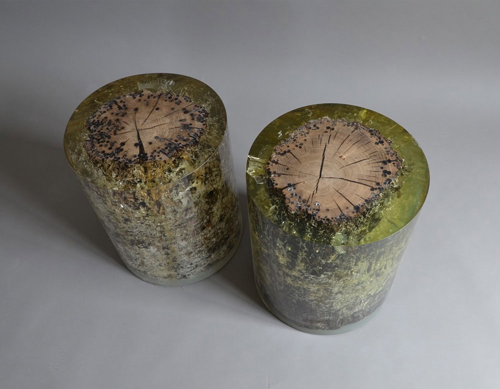 A pair of sculptural stools encapsulate natural wood in translucent resin, revealing grain and bark within. Air bubbles and embedded particles create a textural depth that evokes geological formations.