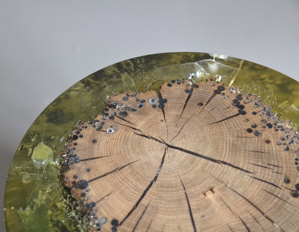 Organic beauty meets modern alchemy in this stool crafted from resin and raw wood. Metallic accents mimic spores or stardust, embedded in translucent amber for a surreal, fossil-like finish.